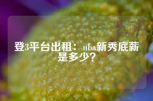 登3平台出租：nba新秀底薪是多少？-第1张图片-皇冠信用盘出租