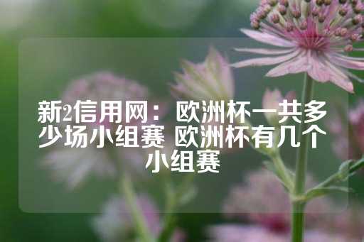 新2信用网：欧洲杯一共多少场小组赛 欧洲杯有几个小组赛