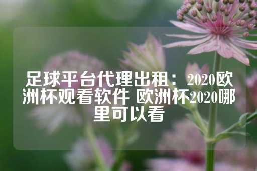 足球平台代理出租：2020欧洲杯观看软件 欧洲杯2020哪里可以看-第1张图片-皇冠信用盘出租