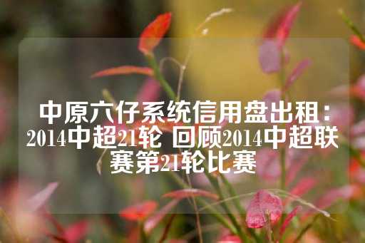 中原六仔系统信用盘出租：2014中超21轮 回顾2014中超联赛第21轮比赛