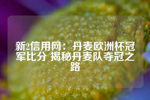 新2信用网：丹麦欧洲杯冠军比分 揭秘丹麦队夺冠之路-第1张图片-皇冠信用盘出租