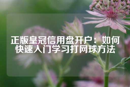 正版皇冠信用盘开户：如何快速入门学习打网球方法-第1张图片-皇冠信用盘出租