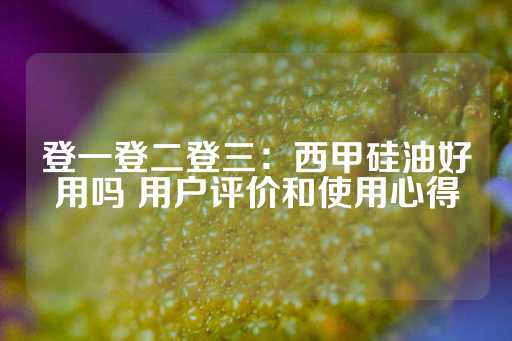 登一登二登三：西甲硅油好用吗 用户评价和使用心得