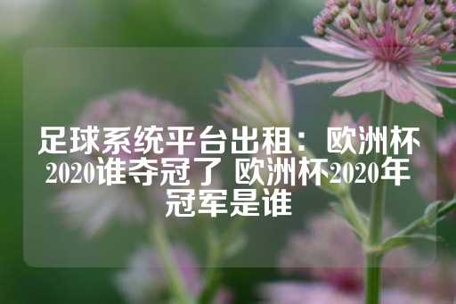 足球系统平台出租：欧洲杯2020谁夺冠了 欧洲杯2020年冠军是谁-第1张图片-皇冠信用盘出租