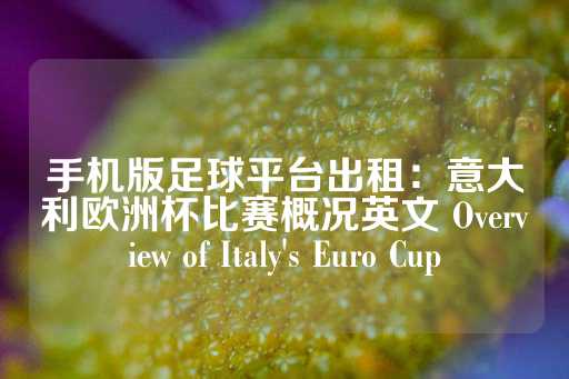 手机版足球平台出租：意大利欧洲杯比赛概况英文 Overview of Italy's Euro Cup