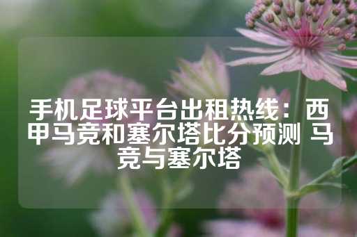 手机足球平台出租热线：西甲马竞和塞尔塔比分预测 马竞与塞尔塔