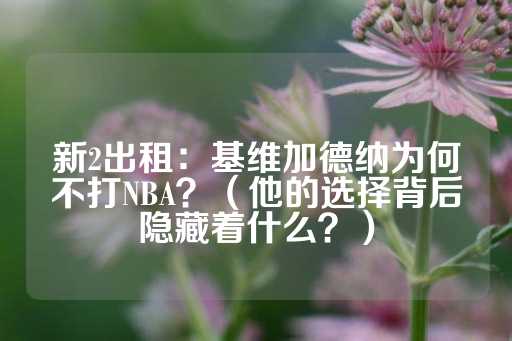 新2出租：基维加德纳为何不打NBA？（他的选择背后隐藏着什么？）-第1张图片-皇冠信用盘出租