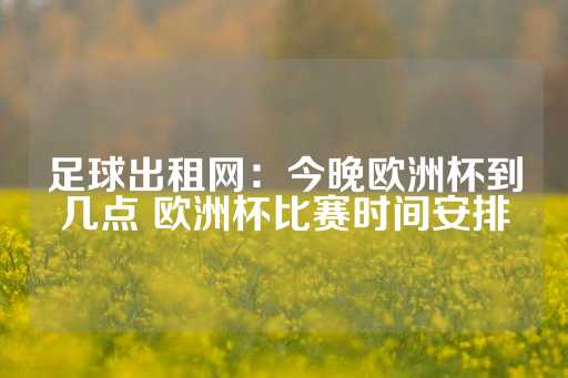 足球出租网：今晚欧洲杯到几点 欧洲杯比赛时间安排-第1张图片-皇冠信用盘出租