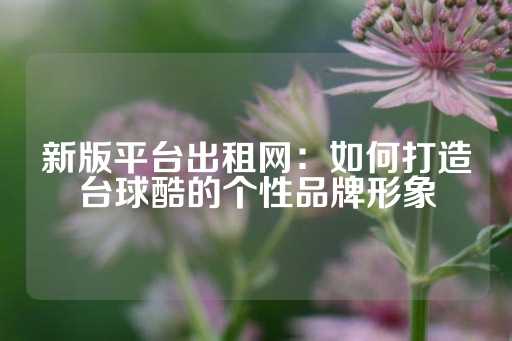 新版平台出租网：如何打造台球酷的个性品牌形象