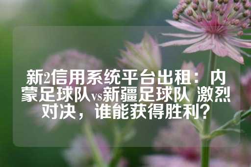 新2信用系统平台出租：内蒙足球队vs新疆足球队 激烈对决，谁能获得胜利？