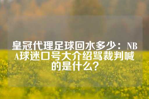 皇冠代理足球回水多少：NBA球迷口号大介绍骂裁判喊的是什么？-第1张图片-皇冠信用盘出租