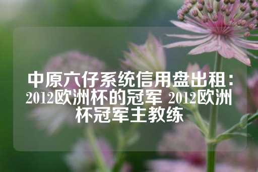 中原六仔系统信用盘出租：2012欧洲杯的冠军 2012欧洲杯冠军主教练