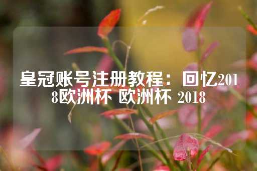 皇冠账号注册教程：回忆2018欧洲杯 欧洲杯 2018-第1张图片-皇冠信用盘出租