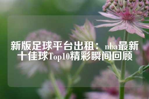 新版足球平台出租：nba最新十佳球Top10精彩瞬间回顾