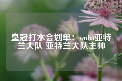 皇冠打水会划单：wnba亚特兰大队 亚特兰大队主帅-第1张图片-皇冠信用盘出租