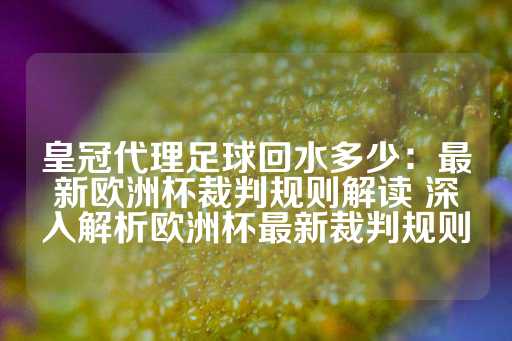 皇冠代理足球回水多少：最新欧洲杯裁判规则解读 深入解析欧洲杯最新裁判规则