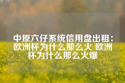 中原六仔系统信用盘出租：欧洲杯为什么那么火 欧洲杯为什么那么火爆