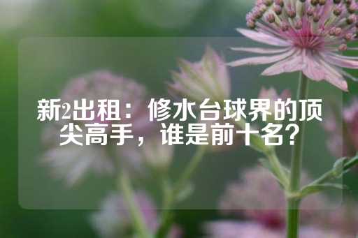 新2出租：修水台球界的顶尖高手，谁是前十名？