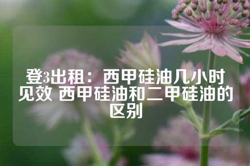 登3出租：西甲硅油几小时见效 西甲硅油和二甲硅油的区别