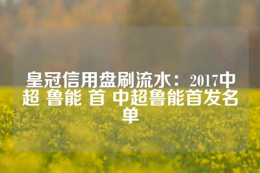 皇冠信用盘刷流水：2017中超 鲁能 首 中超鲁能首发名单