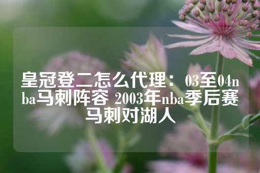 皇冠登二怎么代理：03至04nba马刺阵容 2003年nba季后赛马刺对湖人