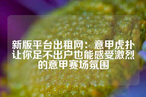 新版平台出租网：意甲虎扑让你足不出户也能感受激烈的意甲赛场氛围