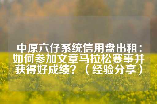 中原六仔系统信用盘出租：如何参加文章马拉松赛事并获得好成绩？（经验分享）