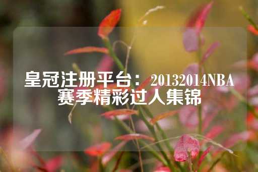 皇冠注册平台：20132014NBA赛季精彩过人集锦-第1张图片-皇冠信用盘出租