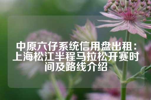 中原六仔系统信用盘出租：上海松江半程马拉松开赛时间及路线介绍