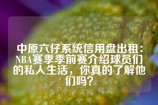 中原六仔系统信用盘出租：NBA赛季季前赛介绍球员们的私人生活，你真的了解他们吗？