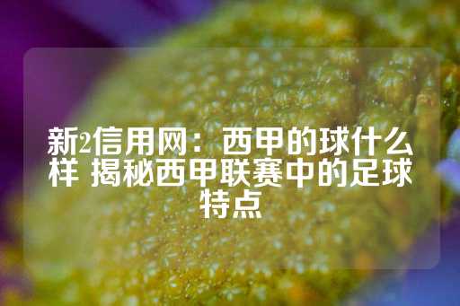 新2信用网：西甲的球什么样 揭秘西甲联赛中的足球特点