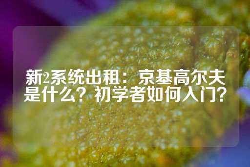 新2系统出租：京基高尔夫是什么？初学者如何入门？