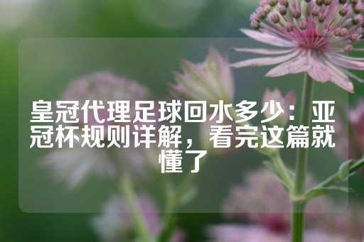 皇冠代理足球回水多少：亚冠杯规则详解，看完这篇就懂了-第1张图片-皇冠信用盘出租