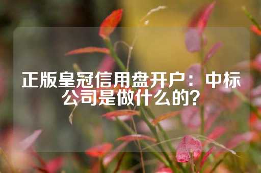 正版皇冠信用盘开户：中标公司是做什么的？