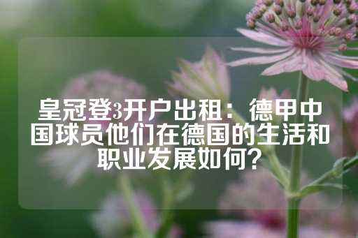 皇冠登3开户出租：德甲中国球员他们在德国的生活和职业发展如何？