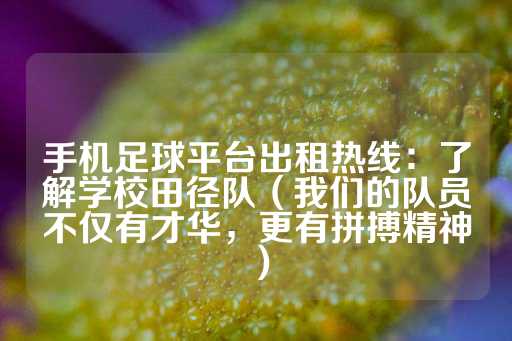 手机足球平台出租热线：了解学校田径队（我们的队员不仅有才华，更有拼搏精神）