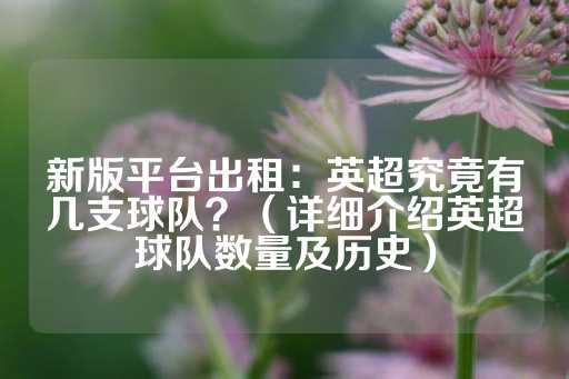 新版平台出租：英超究竟有几支球队？（详细介绍英超球队数量及历史）-第1张图片-皇冠信用盘出租