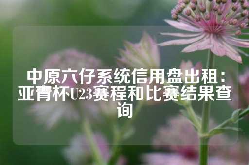 中原六仔系统信用盘出租：亚青杯U23赛程和比赛结果查询-第1张图片-皇冠信用盘出租