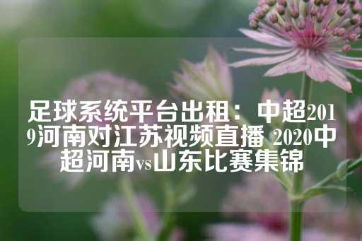 足球系统平台出租：中超2019河南对江苏视频直播 2020中超河南vs山东比赛集锦