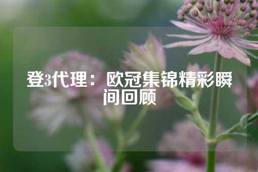 登3代理：欧冠集锦精彩瞬间回顾