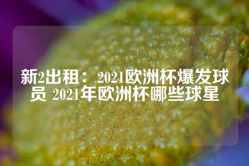 新2出租：2021欧洲杯爆发球员 2021年欧洲杯哪些球星