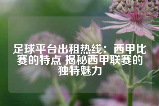 足球平台出租热线：西甲比赛的特点 揭秘西甲联赛的独特魅力