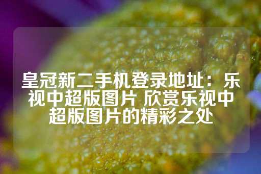 皇冠新二手机登录地址：乐视中超版图片 欣赏乐视中超版图片的精彩之处