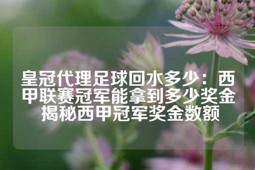 皇冠代理足球回水多少：西甲联赛冠军能拿到多少奖金 揭秘西甲冠军奖金数额