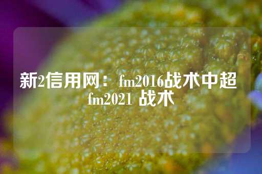 新2信用网：fm2016战术中超 fm2021 战术