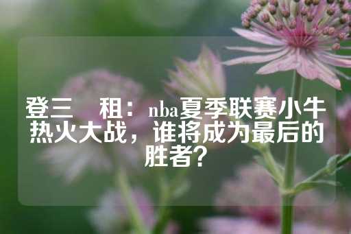 登三岀租：nba夏季联赛小牛热火大战，谁将成为最后的胜者？