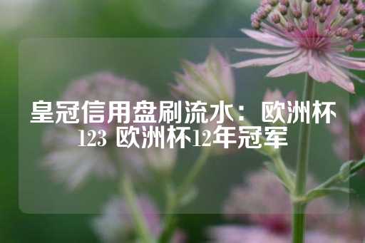 皇冠信用盘刷流水：欧洲杯123 欧洲杯12年冠军-第1张图片-皇冠信用盘出租