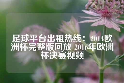 足球平台出租热线：2014欧洲杯完整版回放 2016年欧洲杯决赛视频