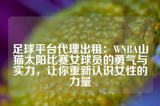 足球平台代理出租：WNBA山猫太阳比赛女球员的勇气与实力，让你重新认识女性的力量-第1张图片-皇冠信用盘出租