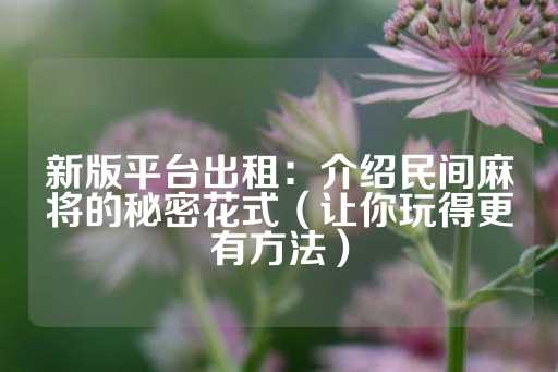 新版平台出租：介绍民间麻将的秘密花式（让你玩得更有方法）